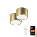 Immax Neo 07127L-BD - Set 2x LED Dimmable ceiling light RONDATE gold 2xLED/12W/230V + remote control Tuya