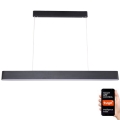 Immax NEO 07157-B120X - LED RGB+CCT Dimmable chandelier on a string MILANO LED/40W/230V Tuya black