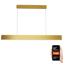 Immax NEO 07157-G120X - LED RGB+CCTW Dimmable chandelier on a string MILANO LED/40W/230V Tuya gold