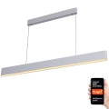 Immax NEO 07157-W120X - LED RGB+CCT Dimmable chandelier on a string MILANO LED/40W/230V Tuya white
