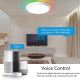 Immax NEO 07164-40 - LED RGB+CCT Dimmable ceiling light NEO LITE TUDO LED/50W/230V Wi-Fi Tuya +remote control