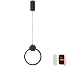 Immax NEO 07233L - LED Dimmable chandelier on a string NEO LITE OVALE LED/18W/230V Wi-Fi Tuya 2700-6500K + remote control