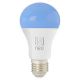Immax NEO 07743C - SET 3x LED RGB+CCT Dimmable bulb E27/11W/230V 2700-6500K Tuya
