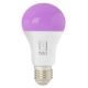 Immax NEO 07743L - LED RGB+CCT Dimmable bulb E27/11W/230V 2700-6500K Tuya