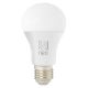 Immax NEO 07743L - LED RGB+CCT Dimmable bulb E27/11W/230V 2700-6500K Tuya