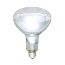 Infrared bulb E27/250W/230V