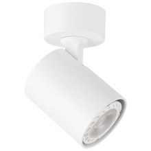 ITALUX - Spotlight LUMSI 1xGU10/35W/230V white