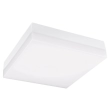 LED Bathroom ceiling light LED/12W/230V 3000/4000/6000K 22x22 cm IP44