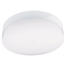LED Bathroom ceiling light LED/12W/230V 3000/4000/6000K d. 22 cm IP44