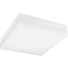 LED Bathroom ceiling light LED/18W/230V 3000/4000/6000K 28x28 cm IP44