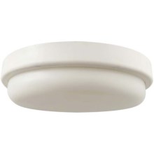 LED Bathroom ceiling light LED/18W/230V 3000K IP54