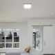 LED Bathroom ceiling light LED/18W/230V 4000K IP44 black