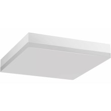 LED Bathroom ceiling light LED/24W/230V 3000K 28 cm IP44