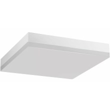 LED Bathroom ceiling light LED/24W/230V 4000K 28 cm IP44