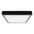 LED Bathroom ceiling light LED/30W/230V 4000K IP44 black