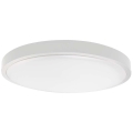LED Bathroom ceiling light LED/30W/230V 6500K IP44 white