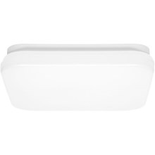 LED Bathroom ceiling light LUKY LED/12W/230V 4000K 24x24 cm IP44