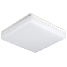 LED bathroom ceiling light SAMSUNG CHIP LED/15W/230V 6500K IP44