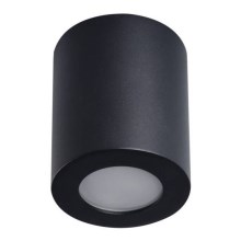LED Bathroom ceiling light SANI 1xGU10/10W/230V IP44 black