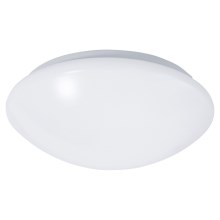 LED Bathroom ceiling light with a sensor REVA LED/12W/230V IP44