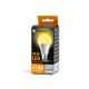 LED Bulb A60 E27/21W/230V 3000K - Aigostar