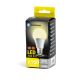LED Bulb A60 E27/21W/230V 4000K - Aigostar