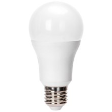 LED Bulb A60 E27/24W/230V 6500K - Aigostar