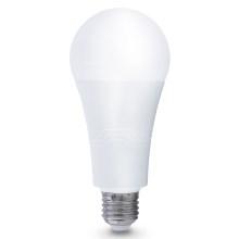 LED Bulb E27/22W/230V 4000K