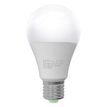 LED Bulb ECOLINE A65 E27/15W/230V 3000K - Brilagi