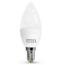 LED Bulb ECOLINE C37 E14/7W/230V 3000K -  Brilagi