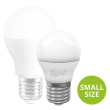 LED Bulb ECOLINE G45 E27/7W/230V 3,000K - Brilagi