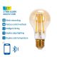 LED Bulb FILAMENT A60 E27/6W/230V 2700-6500K - Aigostar