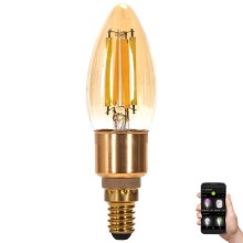 LED Bulb FILAMENT C35 E14/4,5W/230V 2700-6500K - Aigostar