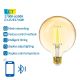 LED Bulb FILAMENT G125 E27/6W/230V 2700-6500K - Aigostar
