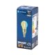 LED Bulb FILAMENT G45 E14/4,5W/230V 2700-6500K - Aigostar