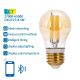 LED Bulb FILAMENT G45 E27/4,5W/230V 2700-6500K - Aigostar