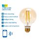 LED Bulb FILAMENT G80 E27/6W/230V 2700-6500K - Aigostar