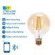 LED Bulb FILAMENT G95 E27/6W/230V 2700-6500K - Aigostar