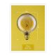 LED Bulb INNER G125 E27/3,5W/230V 1800K - Paulmann 28881