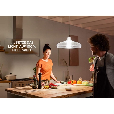 Ampoule LED Philips Hue WHITE E67 E27/15,5W/230V