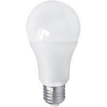 LED Bulb PITT A60 AC/DC E27/12W/24V 4000K