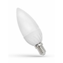 LED Bulb SPECTRUM E14/6W/230V 4000K