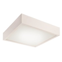 LED ceiling light 1xLED/24W/230V