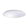 LED Ceiling light AVESTA LED/28W/230V 4000K IP54