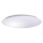 LED Ceiling light AVESTA LED/45W/230V 4000K IP54