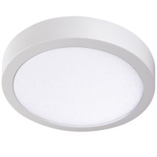 LED Ceiling light CARSA LED/24W/230V 4000K white d. 30 cm