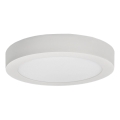 LED Ceiling light FENIX LED/12W/230V 2800K d. 17 cm