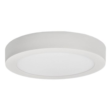 LED Ceiling light FENIX LED/24W/230V 2800K d. 29,8 cm