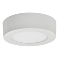 LED Ceiling light FENIX LED/6W/230V 3800K d. 12 cm