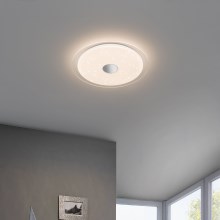 LED Ceiling light IGROKA LED/18,8W/230V